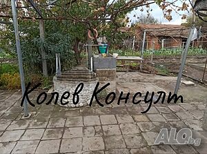 image_10
