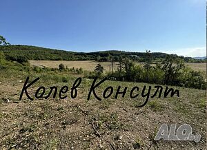 image_10
