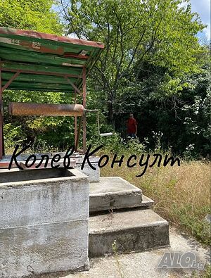 image_6