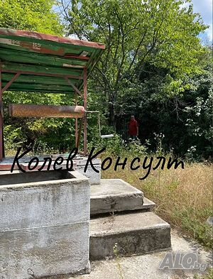 image_9