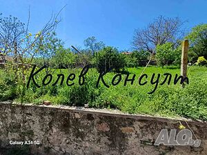 image_6
