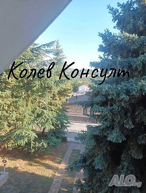 image_8