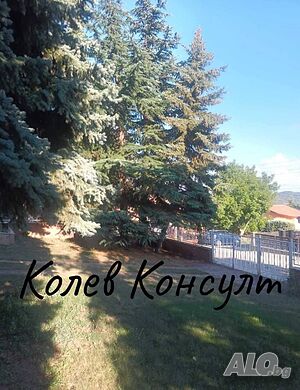 image_10