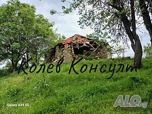 image_4