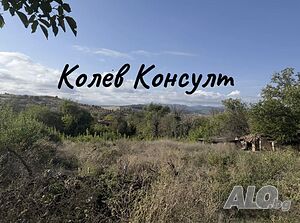 image_11