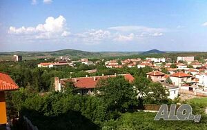 image_5