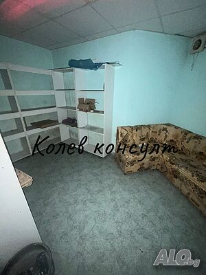 image_8