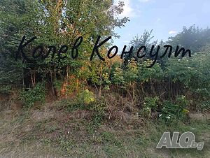 Продавам парцел в с. Голямо Асеново