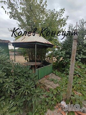 image_10