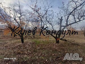 Продавам овощна градина, с. Крепост