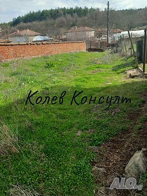 image_8