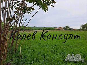 image_5