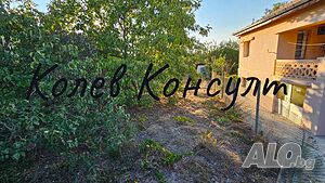 image_12