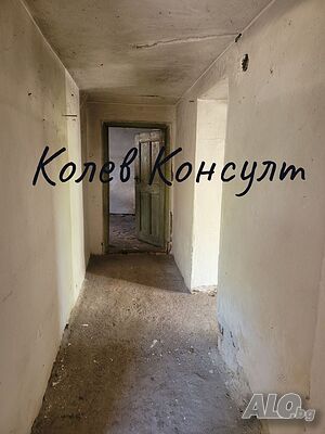image_15