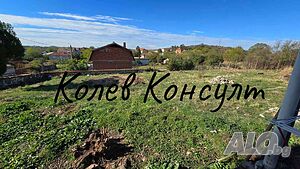 image_11