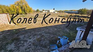image_11