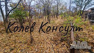 image_9