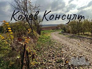 image_2