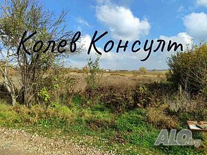 image_7