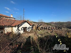 image_2