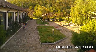 image_9
