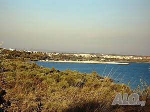 image_9