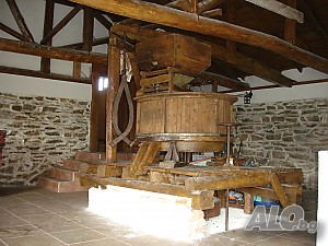 image_6