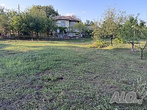 image_7