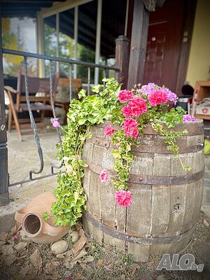 image_19