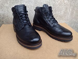 image_5