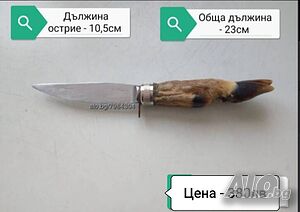 image_9