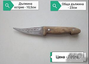 image_5