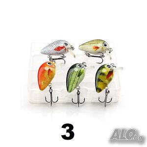 image_3