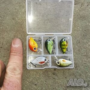 image_4