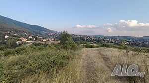 image_9