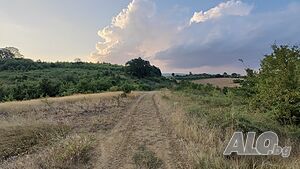 image_11