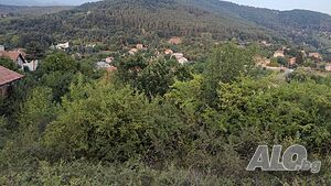 image_13