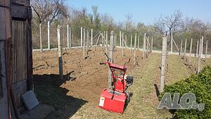 image_4