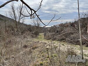 image_2