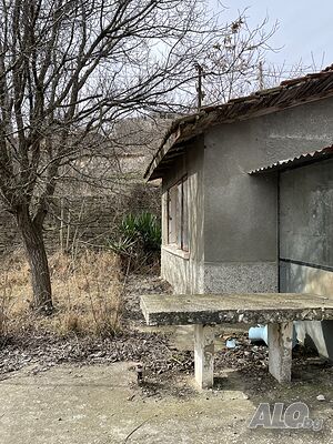 image_9