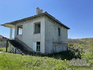 image_3