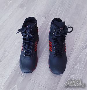 image_6