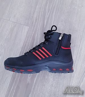 image_8