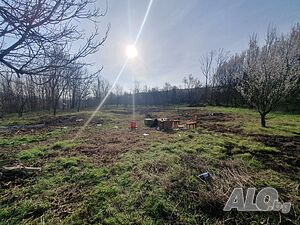 image_13