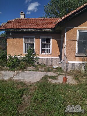 image_9