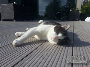 image_8