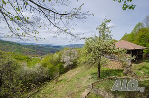 image_8
