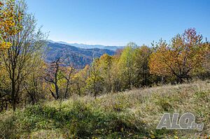 image_12
