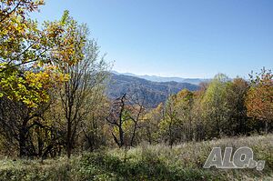 image_13
