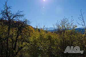 image_15